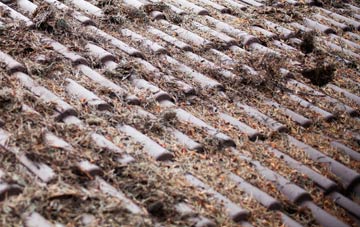 Crumlin roof cleaning companies