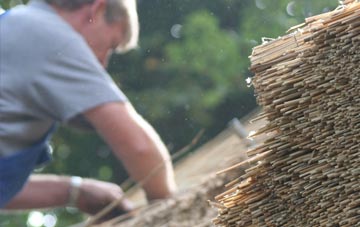 professional Crumlin thatchers