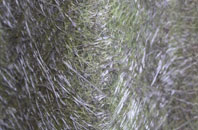 Crumlin fibreglass roof work